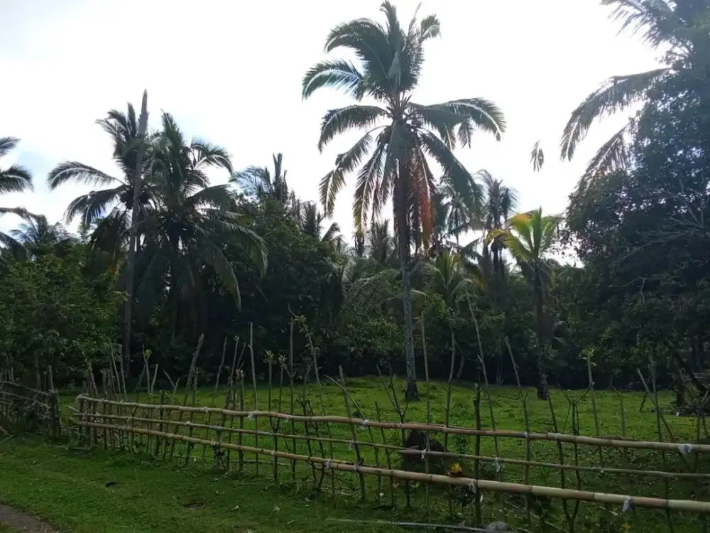 Dijual Lahan di Lumbung dengan Lokasi Super Tenang dan Adem