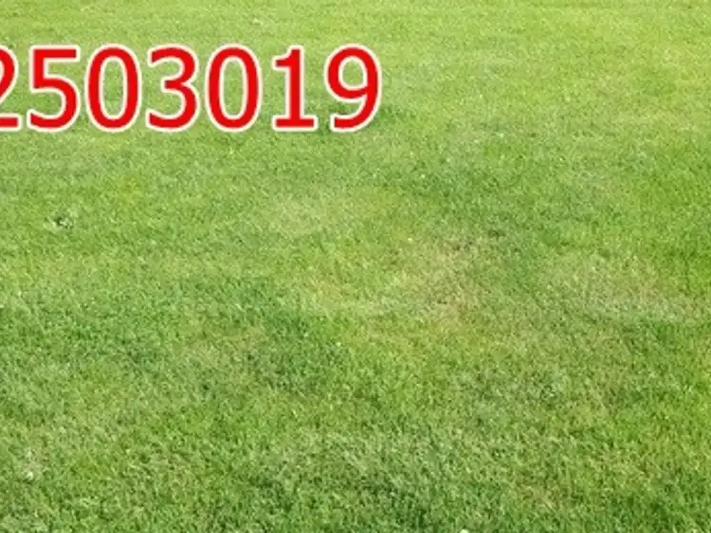 Dijual Tanah Kavling Pakuwon City dkt Dharmahusada Manyar Sutorejo