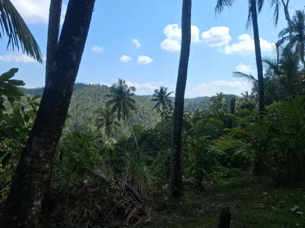 Dijual Lahan Los Sungai View Bukit dan Sungai