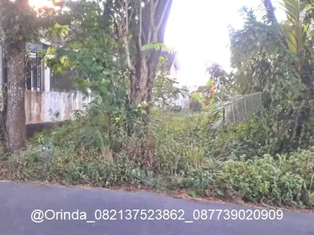 LT 1982 LD20 JL KABUPATEN TANAH SHM TEPI JALAN, JL GODEAN KM 4, JL MAGELANG DEKAT UTY, MMTC, UNISA, JCM, RSA UGM, SCH, COCOK USAHA, GUDANG, KANTOR
