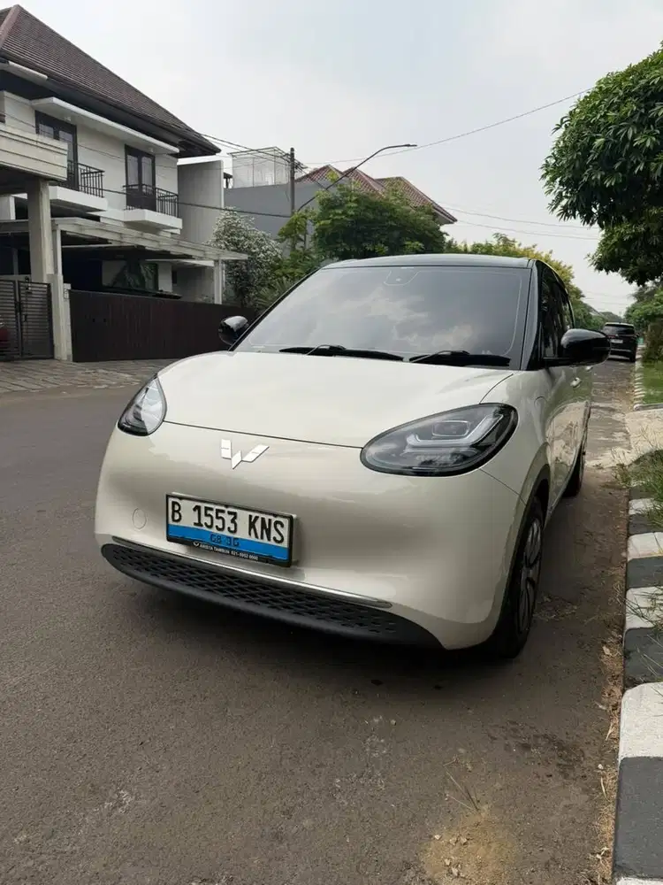Wuling Bingou EC Long Range (410) 2024