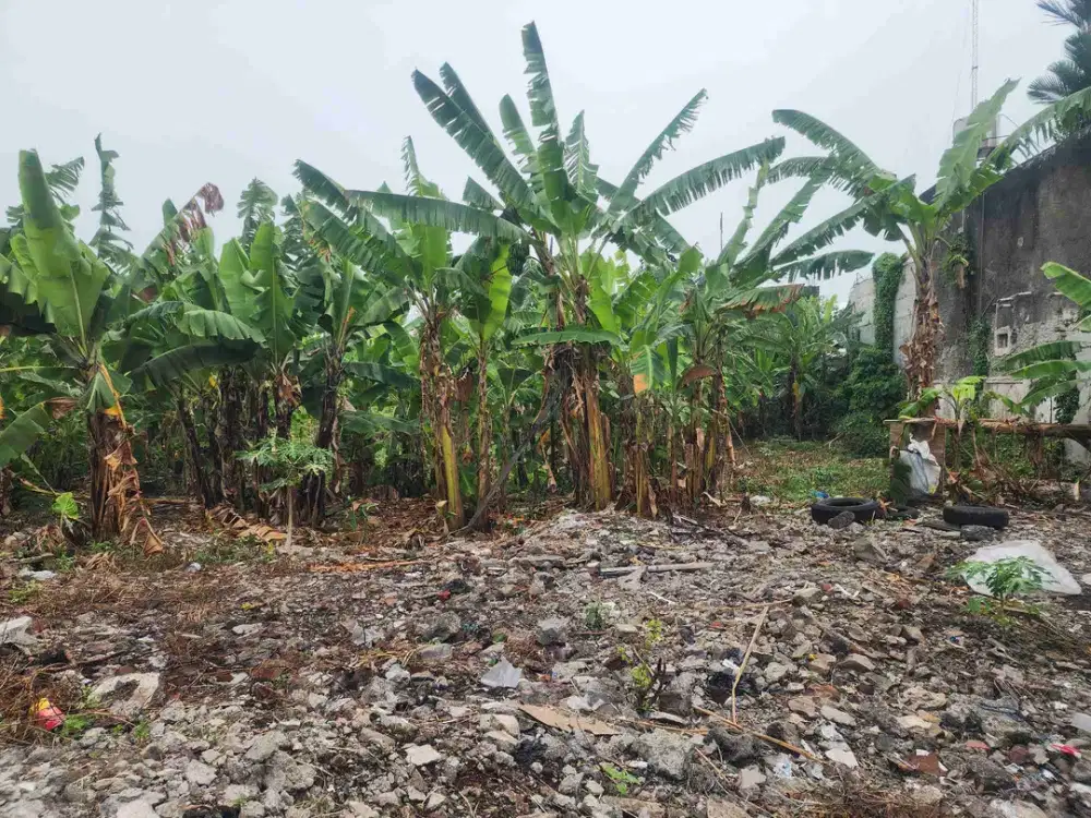 DIJUAL TANAH DAN BANGUNAN