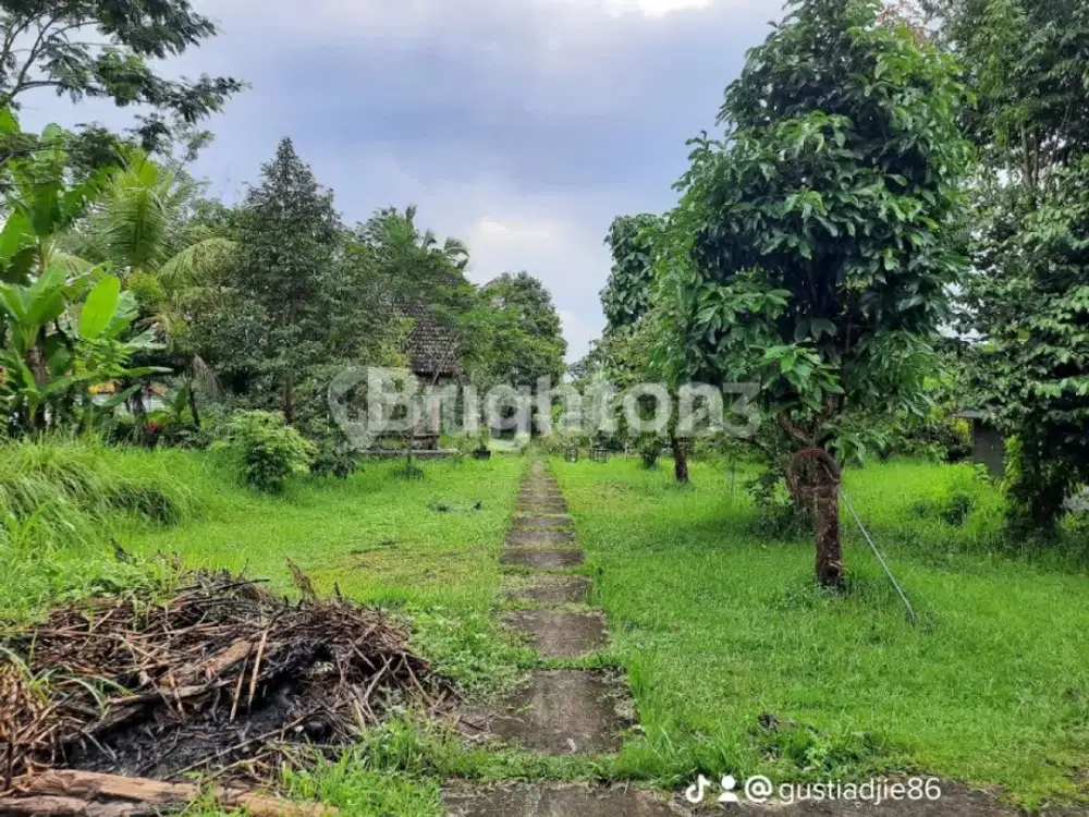 TANAH  2850 M TABANAN PENEBEL BALI  STRATEGIS DEKAT WISATATABANAN BEDUGUL