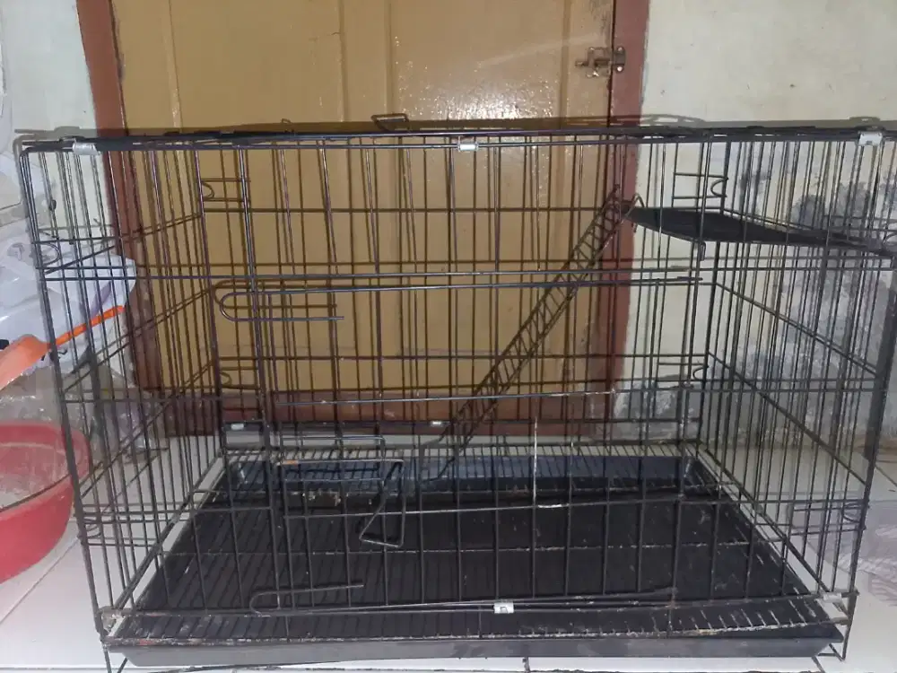 Kandang kucing besi