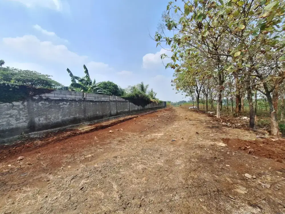 Dekat Jl.Raya Bojonggede-Kemang (Bomang), Dijual Tanah Untuk Hunian