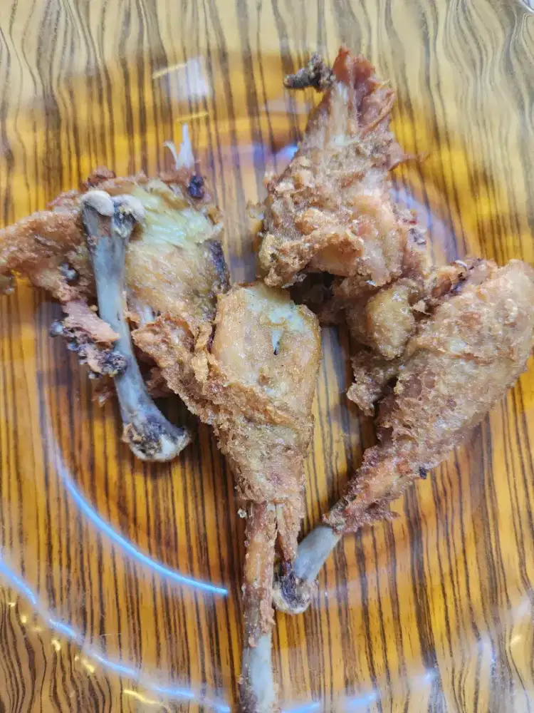 Dicari Karyawan Ayam Goreng