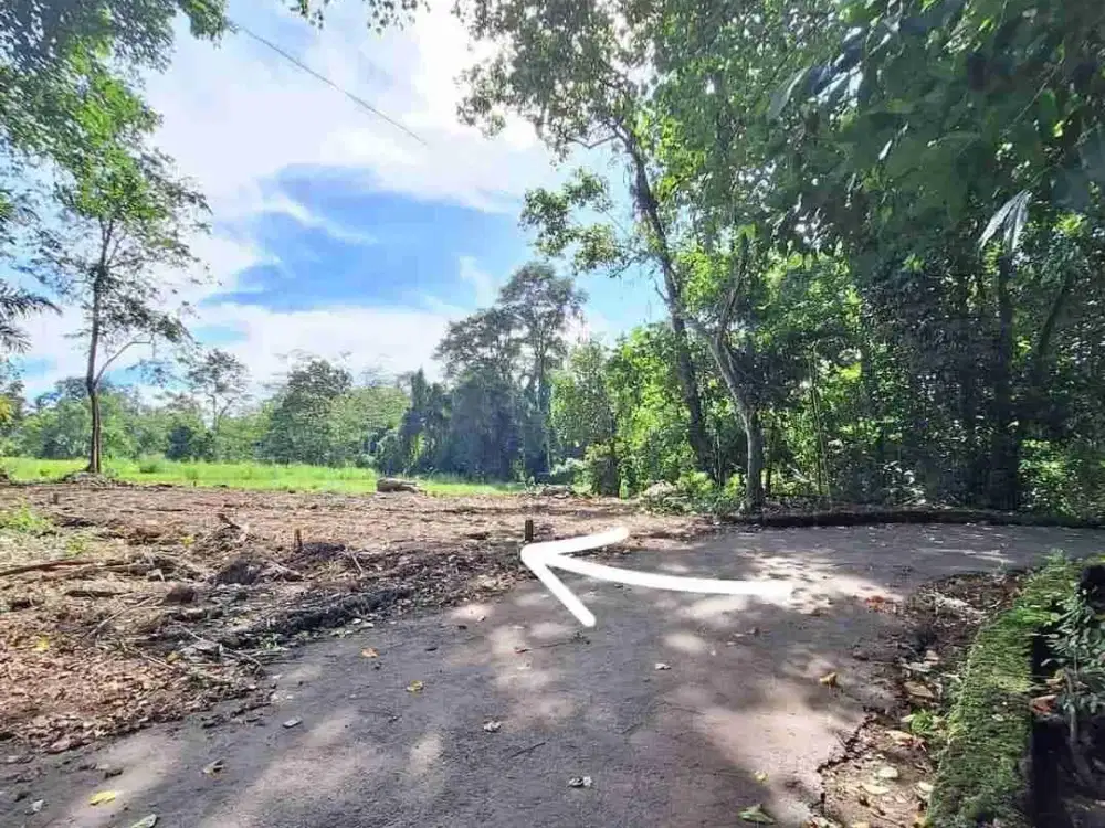 Dijual Cepat Tanah kavling Diseputaran pasar Rejondani jln Palagan Sleman Yogyakarta