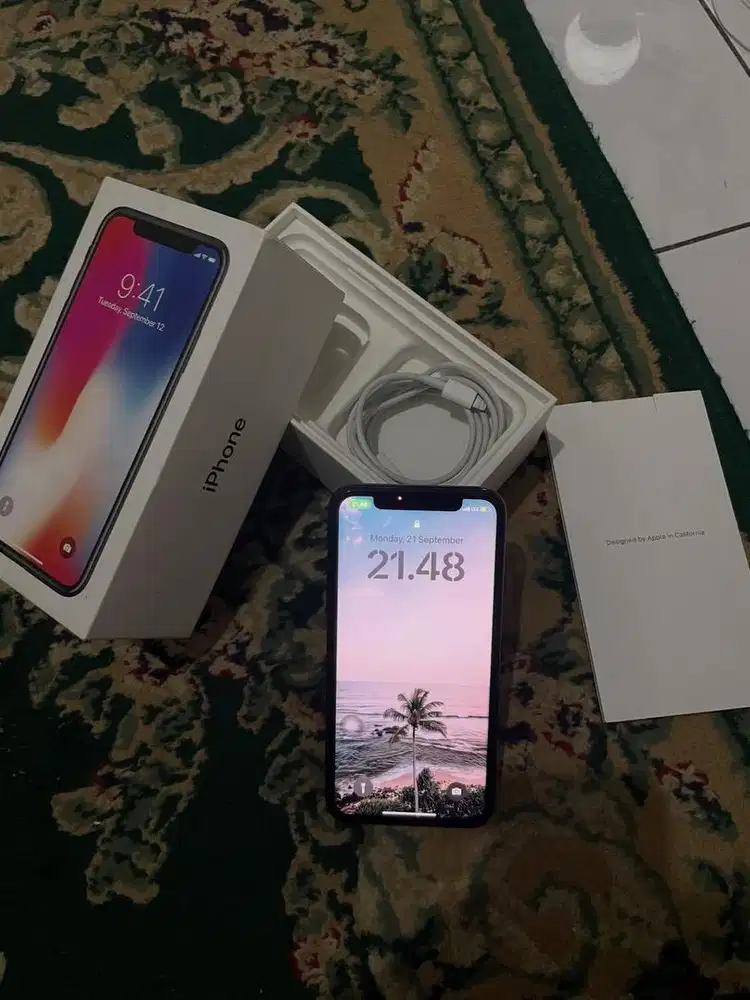iPhone X 256 GB