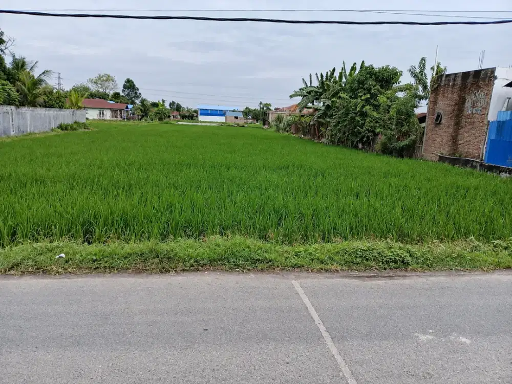 Tanah Luas 2.373 M² di Jl. Pematang Johar, Labuhan Deli SHM
