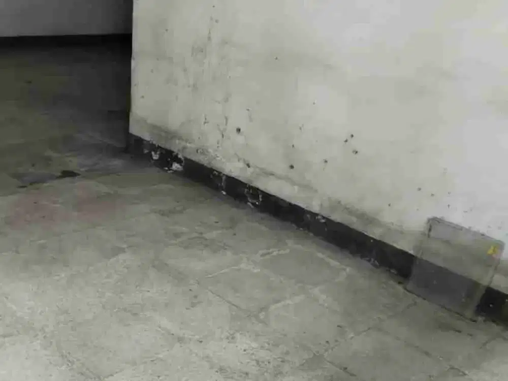 dijual cepat rumah hitung tanah sayap sriwijaya