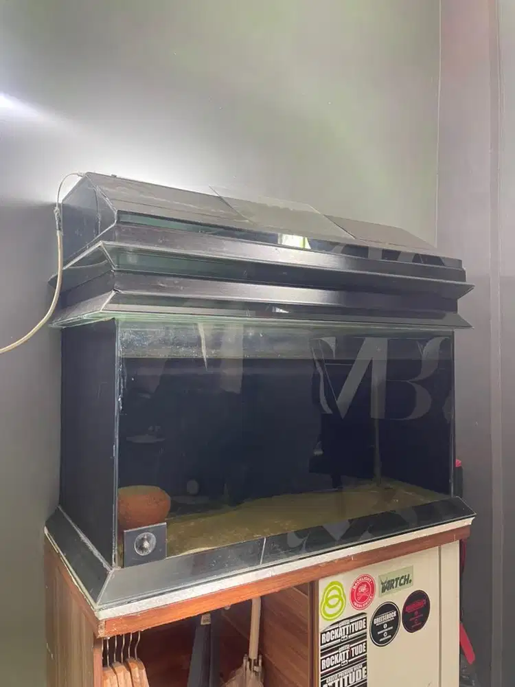 Aquarium ikan 80cm