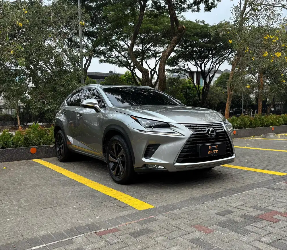 [ ODO 42 RB ] Lexus NX 300 Luxury Facelift 2018