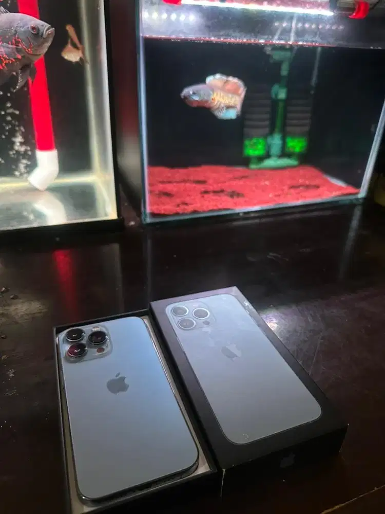 iPhone 13 Pro 128gb Full Original ZP/A imei terdaftar