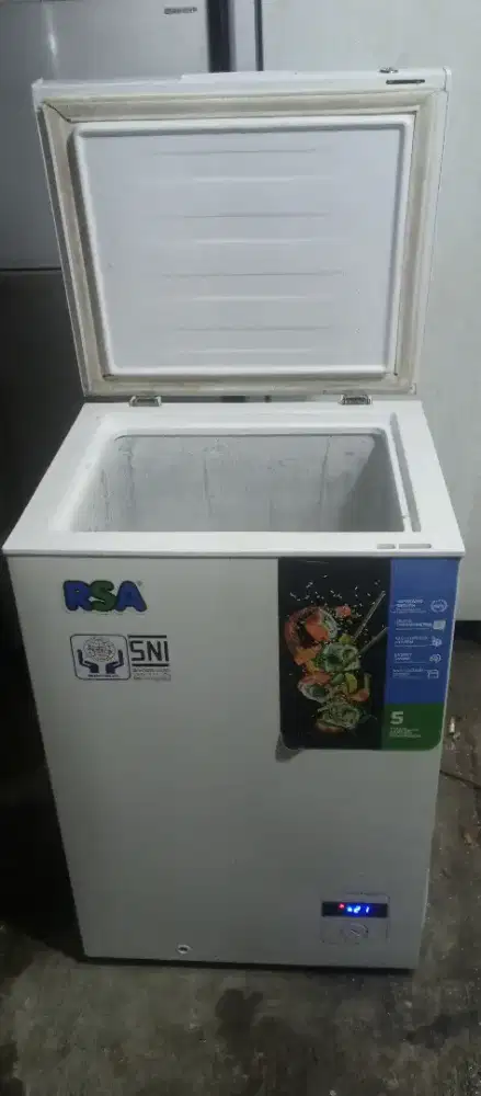 Freezer RSA 100 ltr