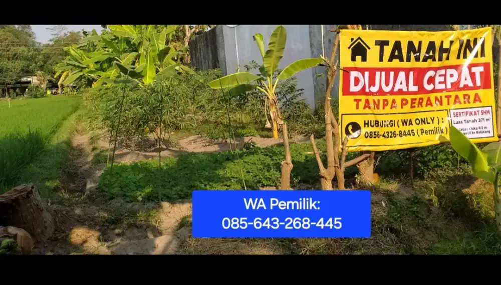 DIJUAL CEPAT Tanah 371 m², Timbulharjo, Sewon. SHM-sawah