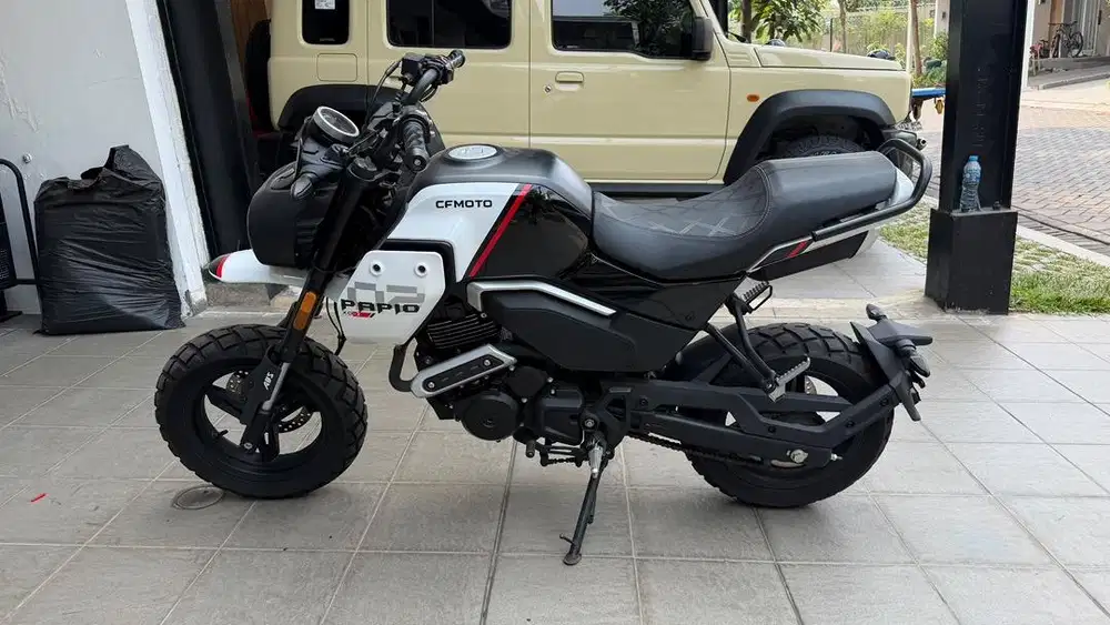 Papio XO-2