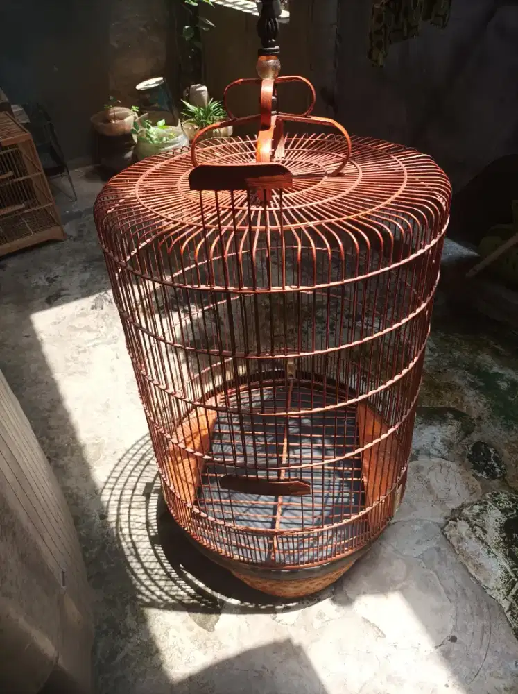 Jual kandang burung murai