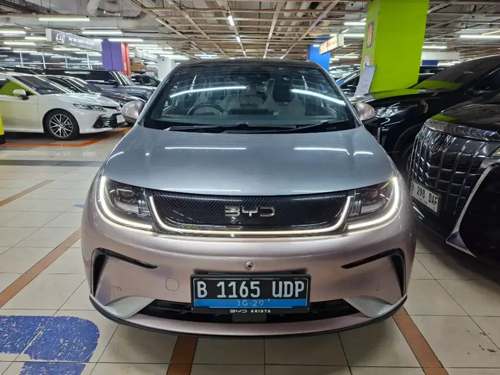 Byd dolphin premium 2024 panoramic