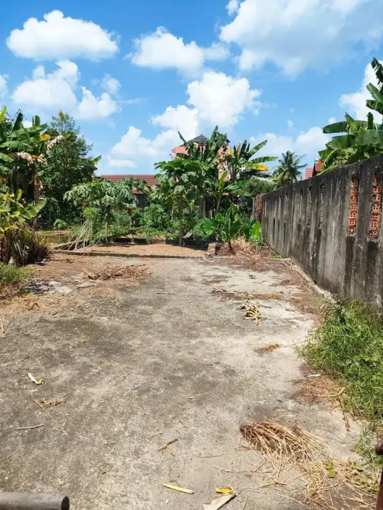 Tanah ukuran 15x31m 465m²