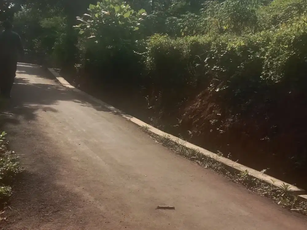 Tanah Lelang SHM Rp250 Juta Nego, Luas 574 m² di Margoyoso Pati