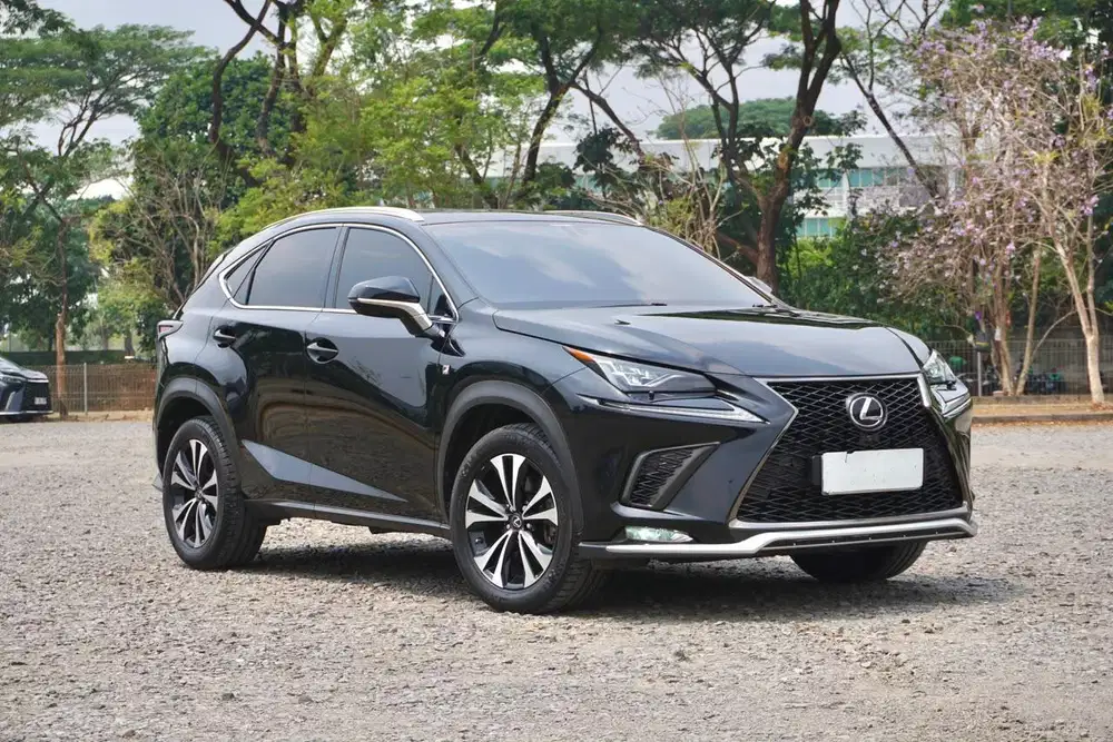 Lexus NX300  F-Sport 2.0T 2019
