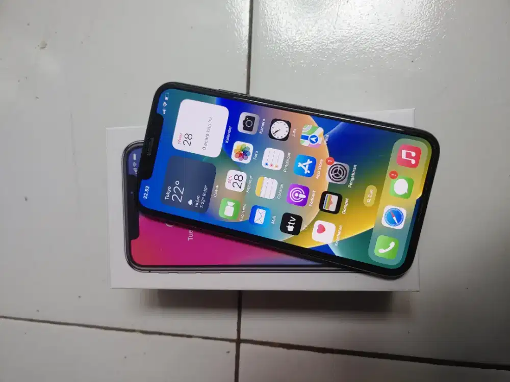 iphone x 256 gb inter