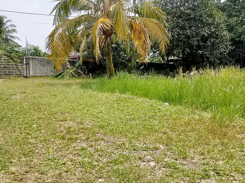 Di jual tanah bagus