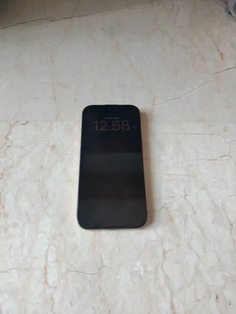 Iphone 16 Pro 256 Mulus