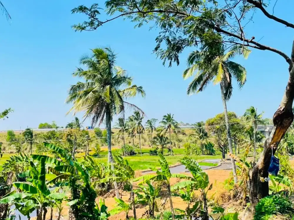 Dijual Murah Tanah Ada Air Mengalir di Pedesaan Congeang Sumedang