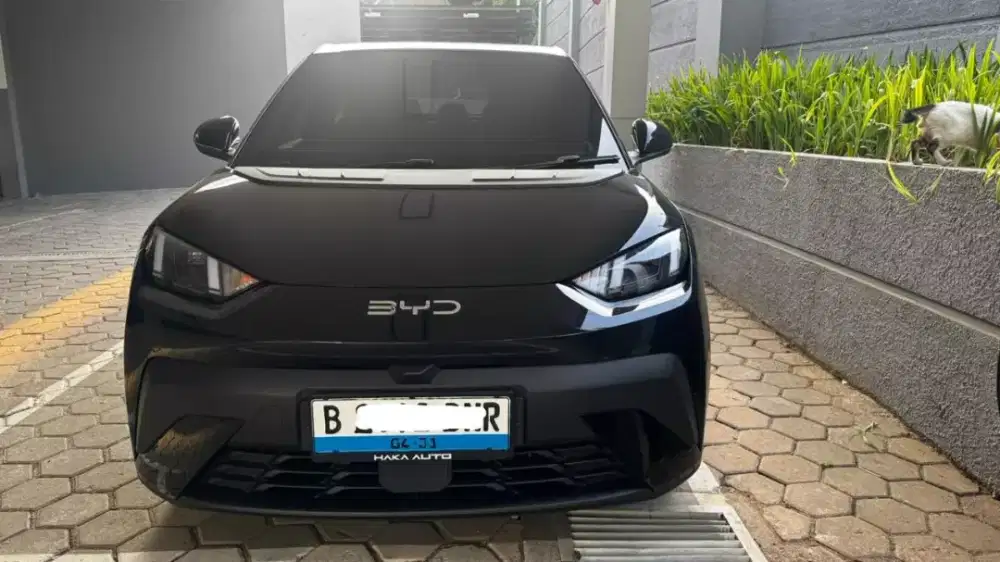 BYD ATTO 1 PREMIUM 2025