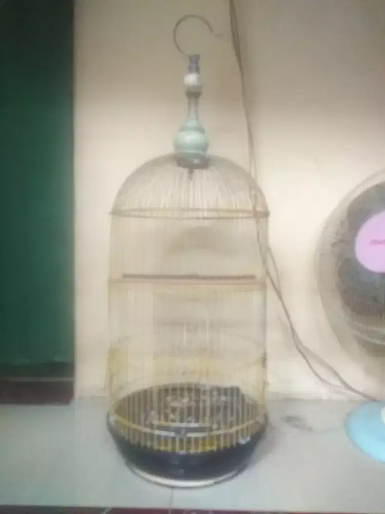 Sangkar kapsul Lovebird