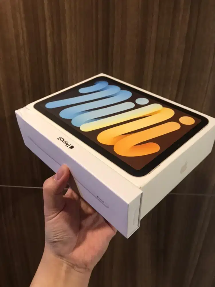 Ipad Mini 6 + Apple Pencil Super Mulus