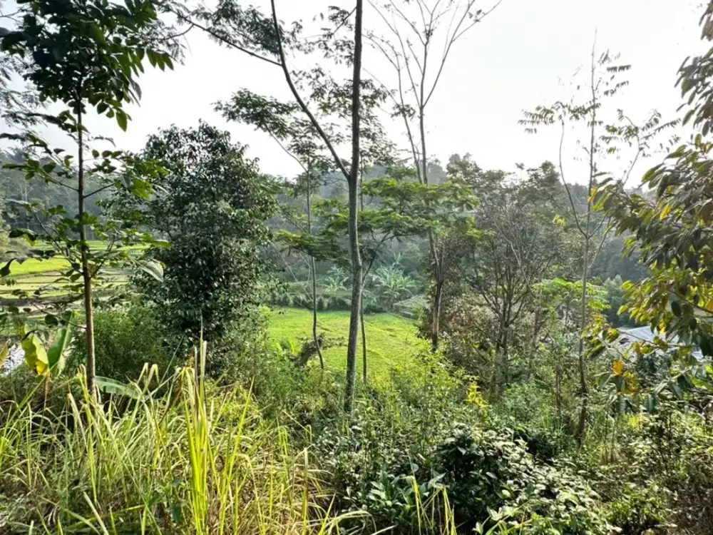 Dijual Murah Tanah Kebun Akses Mobil Pemandangan Bagus Udara Dingin