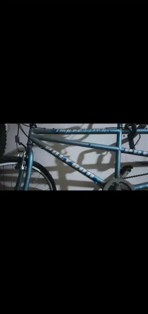 Di jual speda tandem Polygon