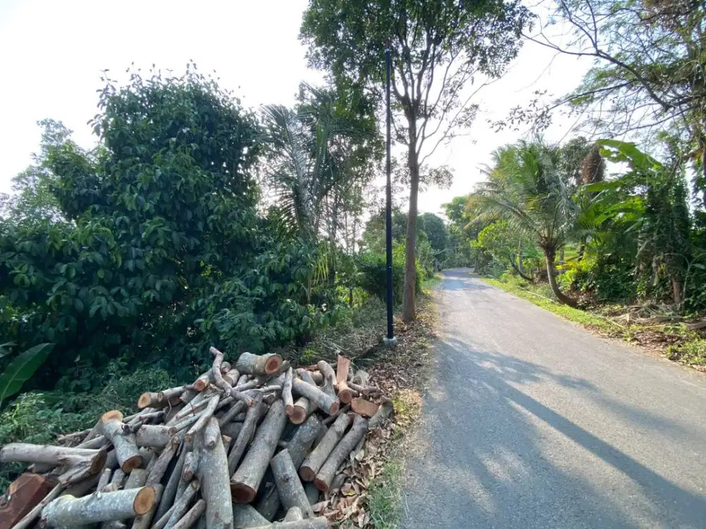 Dijual Tanah Kebun Durian dan Manggis Pinggir Jalan Purwakarta