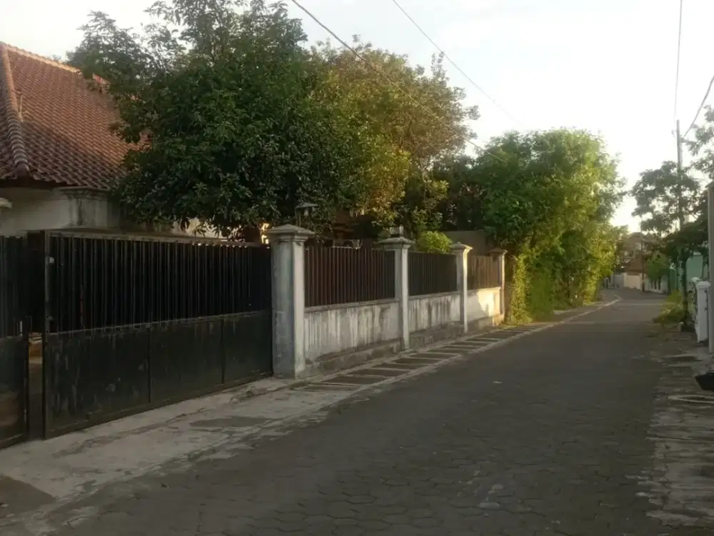 Tanah Bonus Rumah Tinggal dengan Luas 659 Meter Persegi Lokasi Sinduadi Mlati