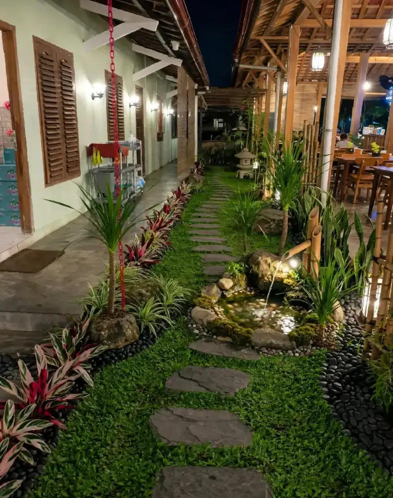 Penanaman rumput gajah mini & Manila Jepang murah