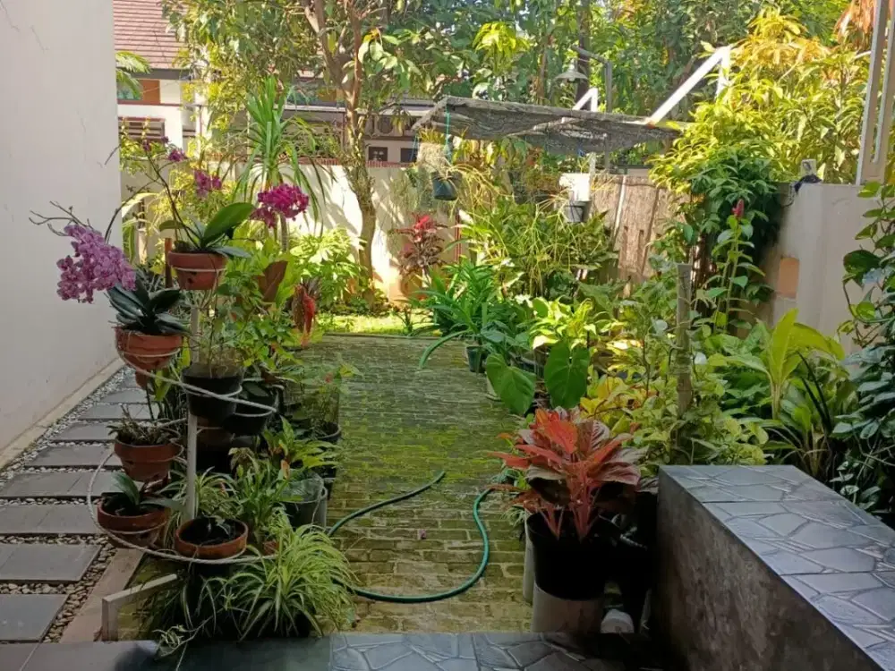 Dijual rumah hook siap huni di TKI 3