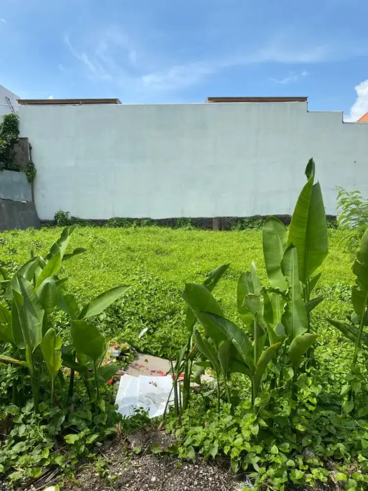 Di Jual Tanah Langka Premium Tumbak Bayuh Canggu