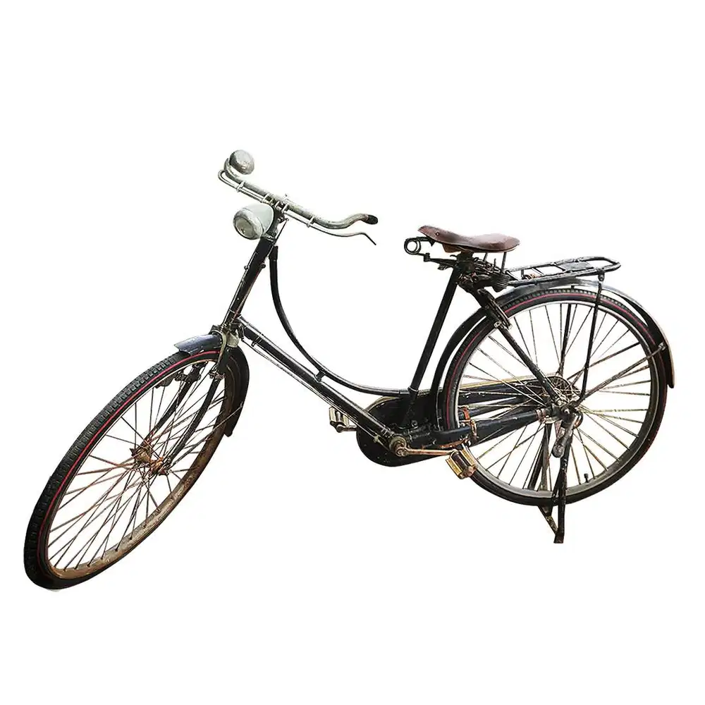 Sepeda Ontel Gazelle Wanita