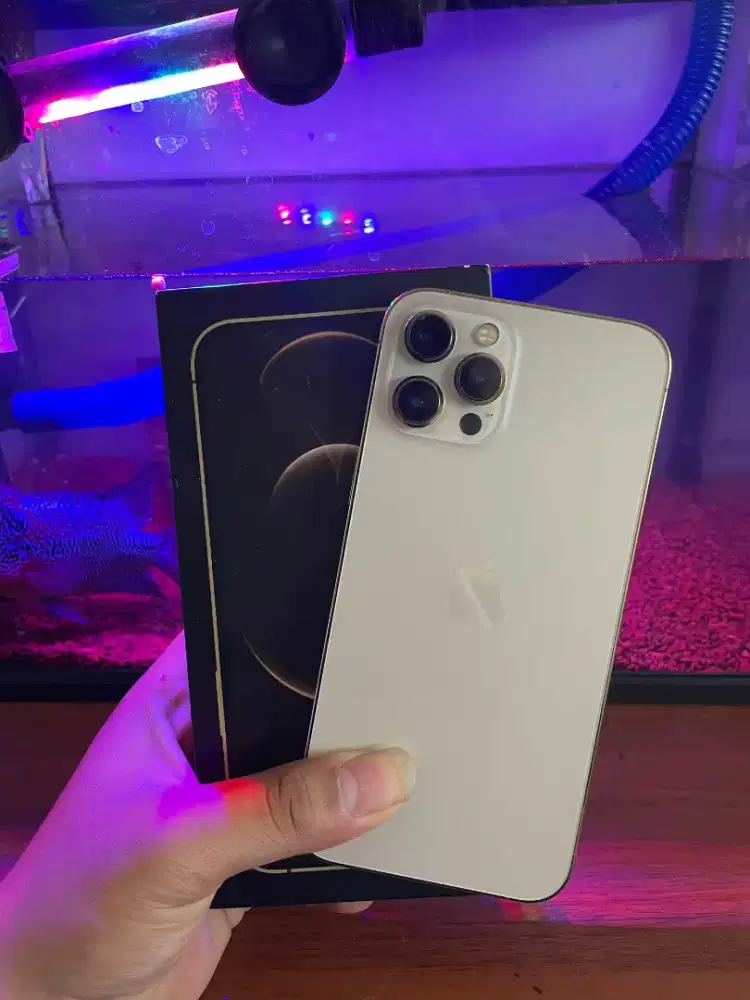 Iphone 12 promax 128Gb ex inter
