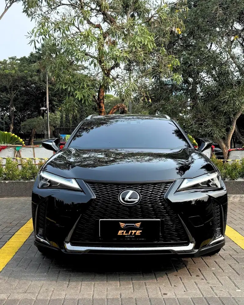 Lexus UX200 F-Sport 2.0 2021 Bergaransi