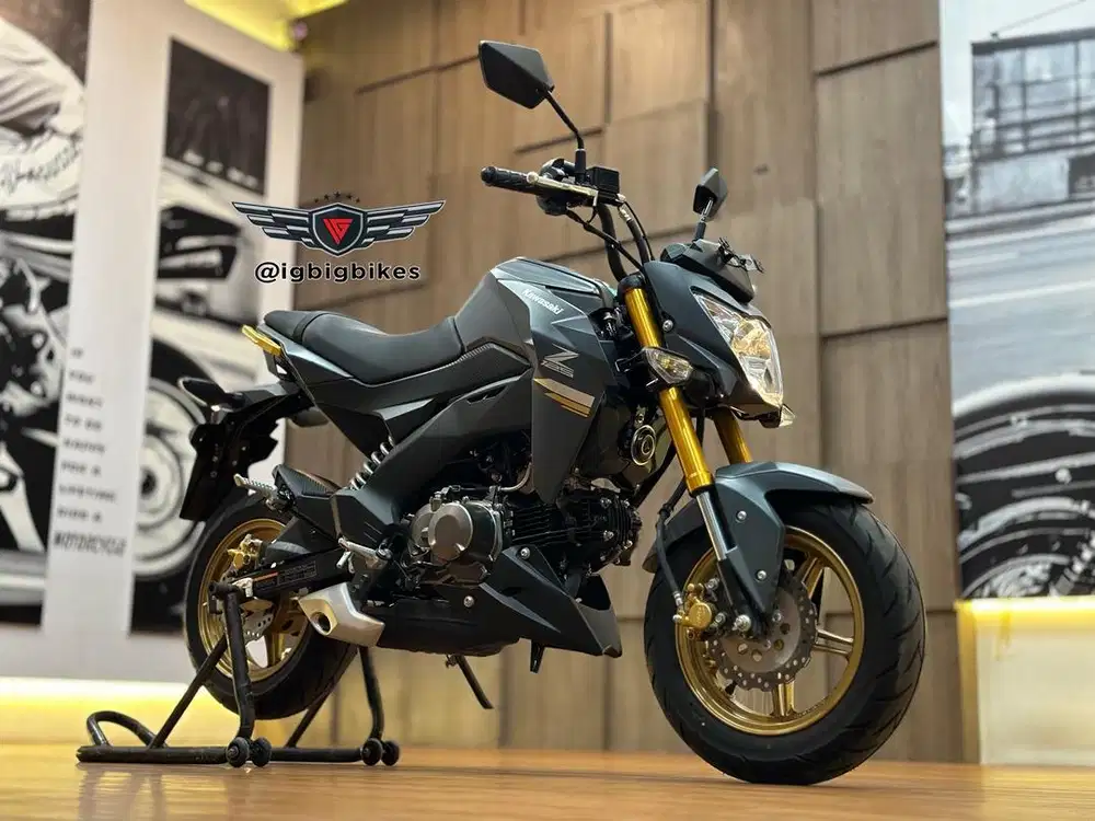 Kawasaki Z125 Grey 2024