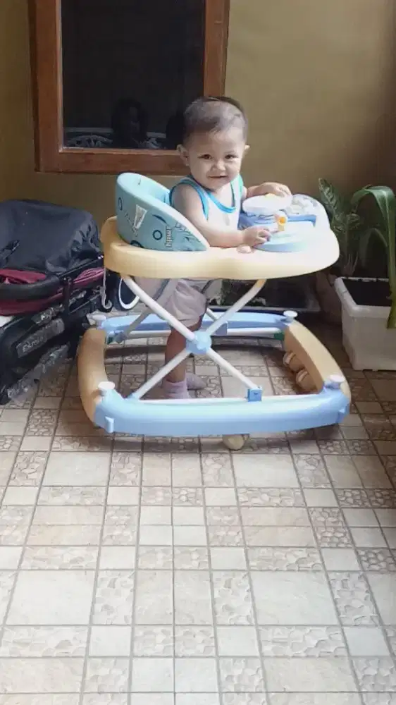 Baby Walker family