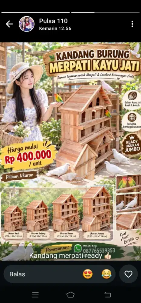 Kandang burung baru
