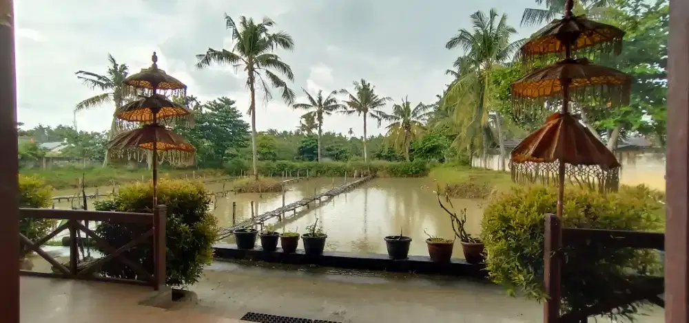 Di jual cepat kolam ikan dan Rumah kayu
