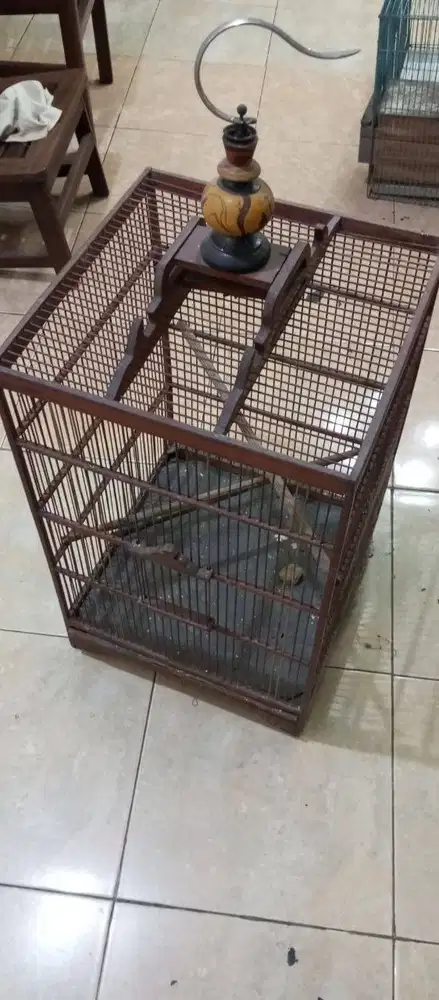 Kandang Burung Bekas Murah Meriah - Siap Pakai