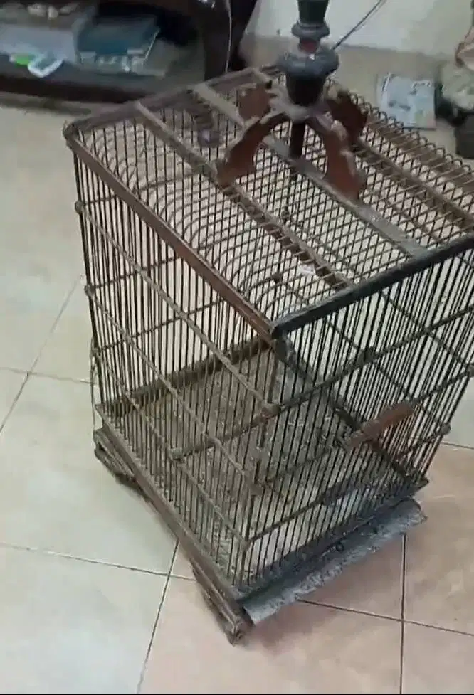 Kandang Burung Bekas Murah Meriah