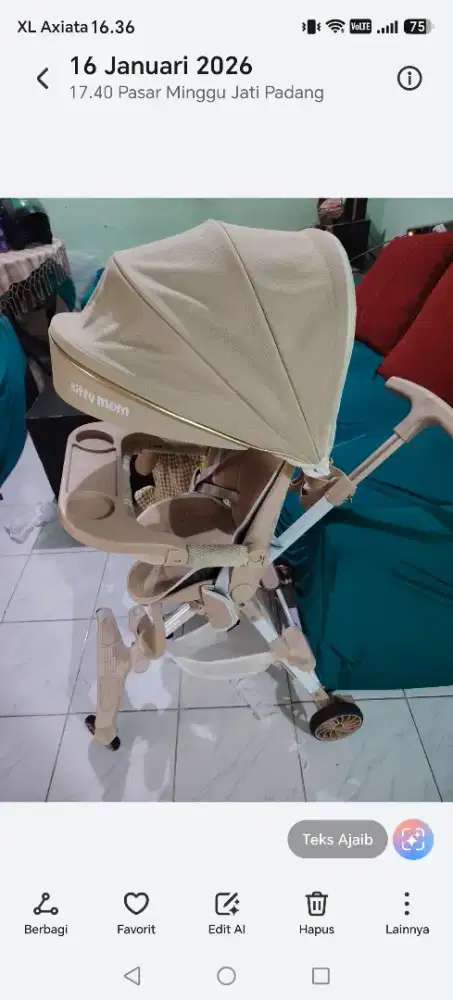 Stroller kitty mom