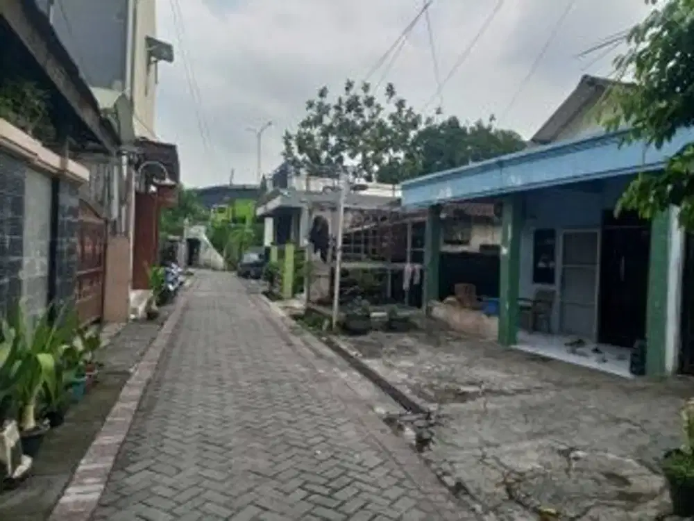 jual rumah area kanguru selatan gayamsari